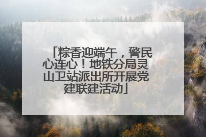 粽香迎端午，警民心连心！地铁分局灵山卫站派出所开展党建联建活动