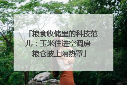 粮食收储里的科技范儿：玉米住进空调房 粮仓披上隔热罩