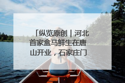 纵览原创｜河北首家盒马鲜生在唐山开业，石家庄门店预计8月开业