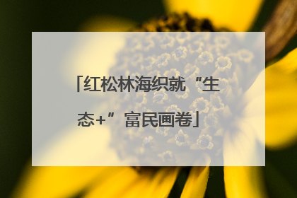 红松林海织就“生态+”富民画卷
