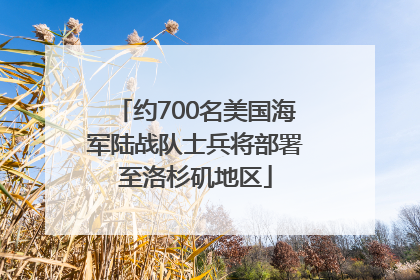 约700名美国海军陆战队士兵将部署至洛杉矶地区