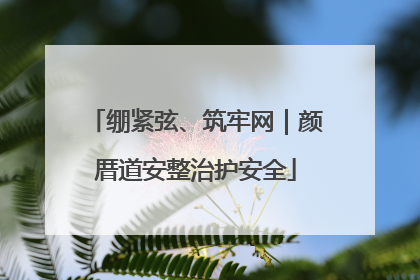 绷紧弦、筑牢网｜颜厝道安整治护安全