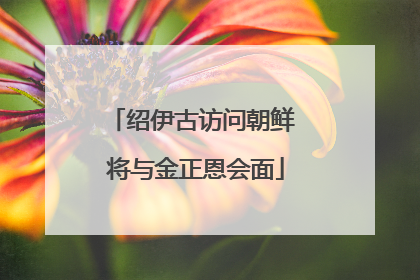 绍伊古访问朝鲜 将与金正恩会面
