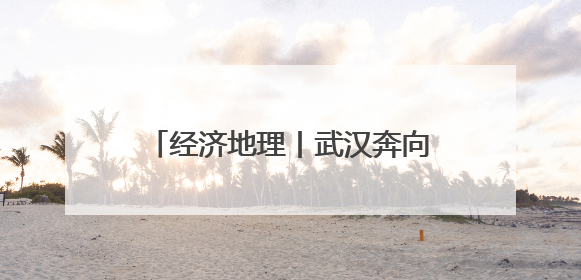 经济地理丨武汉奔向新时代“九州通衢”