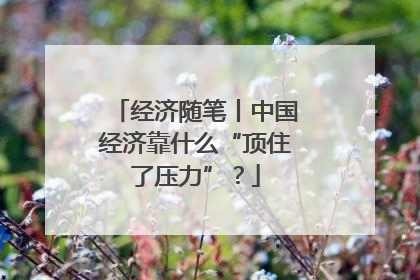 经济随笔丨中国经济靠什么“顶住了压力”？