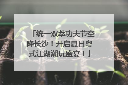 统一双萃功夫节空降长沙！开启夏日粤式江湖潮玩盛宴！