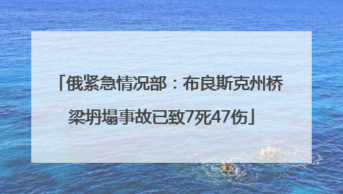 俄紧急情况部：布良斯克州桥梁坍塌事故已致7死47伤