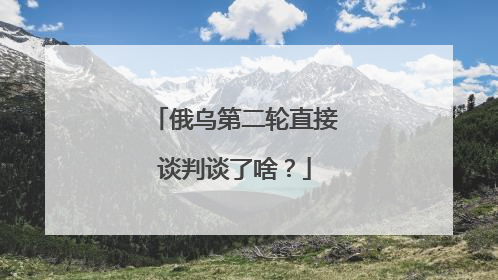 俄乌第二轮直接谈判谈了啥？