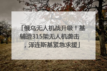 俄乌无人机战升级！基辅遭315架无人机袭击，泽连斯基紧急求援
