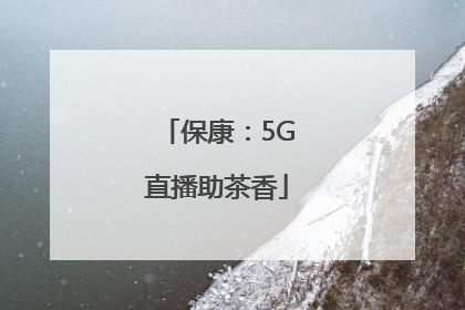 保康：5G直播助茶香