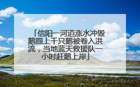 信阳一河道涨水冲毁鹅圈上千只鹅被卷入洪流，当地蓝天救援队一小时赶鹅上岸