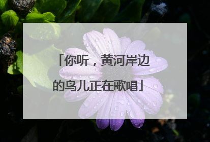 你听，黄河岸边的鸟儿正在歌唱