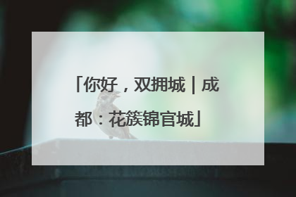 你好，双拥城｜成都：花簇锦官城