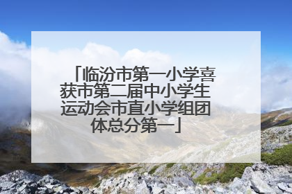 临汾市第一小学喜获市第二届中小学生运动会市直小学组团体总分第一