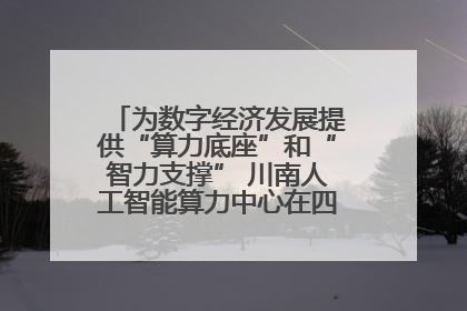 为数字经济发展提供“算力底座”和“智力支撑” 川南人工智能算力中心在四川泸州启动