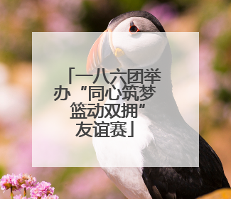 一八六团举办“同心筑梦 篮动双拥”友谊赛