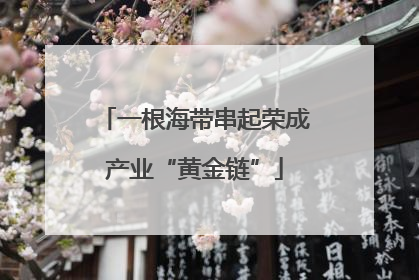 一根海带串起荣成产业“黄金链”