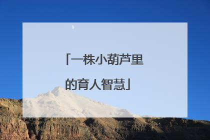 一株小葫芦里的育人智慧