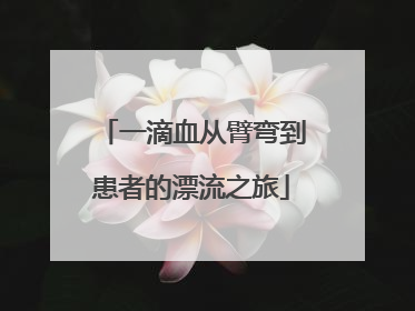 一滴血从臂弯到患者的漂流之旅