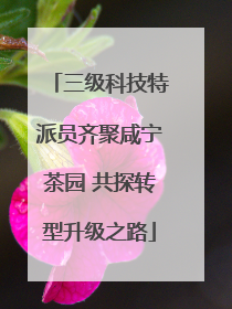 三级科技特派员齐聚咸宁茶园 共探转型升级之路