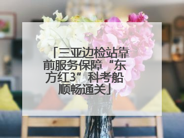 三亚边检站靠前服务保障“东方红3”科考船顺畅通关