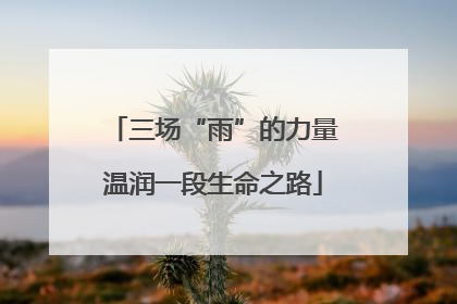 三场“雨”的力量温润一段生命之路