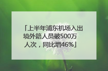 上半年浦东机场入出境外籍人员破500万人次，同比增46%