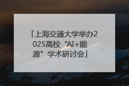 上海交通大学举办2025高校“AI+能源”学术研讨会