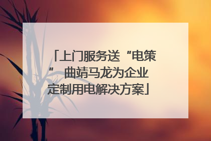 上门服务送“电策” 曲靖马龙为企业定制用电解决方案