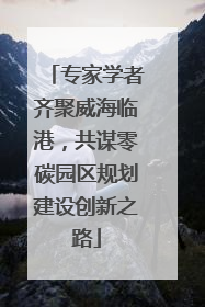 专家学者齐聚威海临港，共谋零碳园区规划建设创新之路