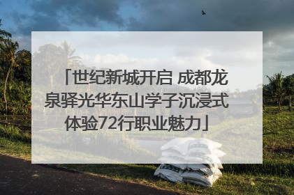 世纪新城开启 成都龙泉驿光华东山学子沉浸式体验72行职业魅力