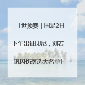 世预赛｜国足2日下午出征印尼，刘若钒因伤落选大名单