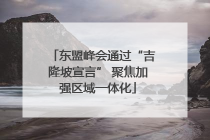 东盟峰会通过“吉隆坡宣言” 聚焦加强区域一体化