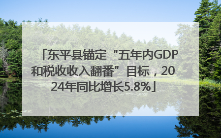 东平县锚定“五年内GDP和税收收入翻番”目标，2024年同比增长5.8%