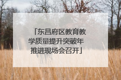 东昌府区教育教学质量提升突破年推进现场会召开