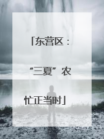 东营区：“三夏”农忙正当时
