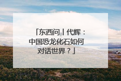 东西问丨代辉：中国恐龙化石如何对话世界？