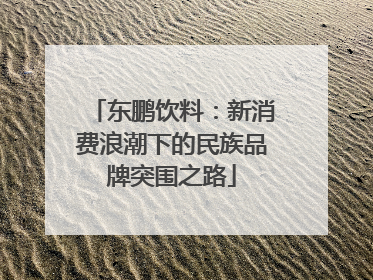 东鹏饮料：新消费浪潮下的民族品牌突围之路