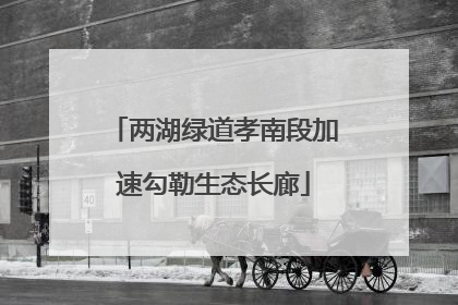 两湖绿道孝南段加速勾勒生态长廊