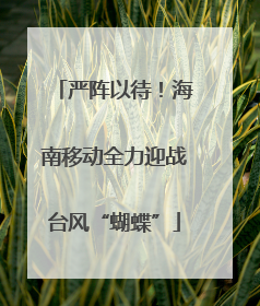 严阵以待！海南移动全力迎战台风“蝴蝶”