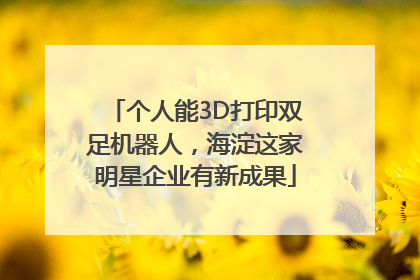 个人能3D打印双足机器人，海淀这家明星企业有新成果
