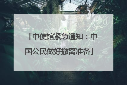 中使馆紧急通知：中国公民做好撤离准备