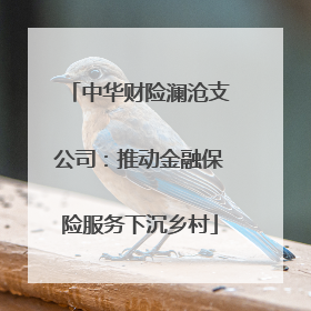 中华财险澜沧支公司：推动金融保险服务下沉乡村
