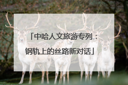 中哈人文旅游专列：钢轨上的丝路新对话