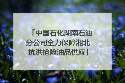 中国石化湖南石油分公司全力保障湘北抗洪抢险油品供应