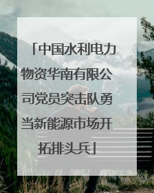 中国水利电力物资华南有限公司党员突击队勇当新能源市场开拓排头兵