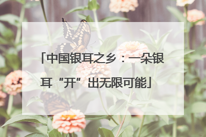 中国银耳之乡：一朵银耳“开”出无限可能