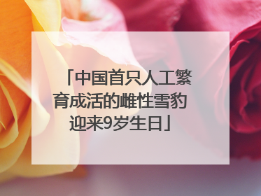 中国首只人工繁育成活的雌性雪豹迎来9岁生日