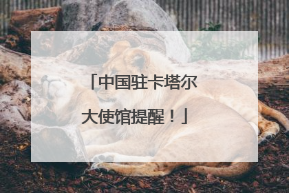中国驻卡塔尔大使馆提醒！