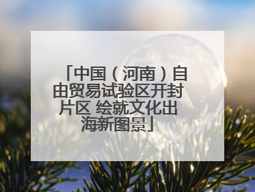 中国（河南）自由贸易试验区开封片区 绘就文化出海新图景